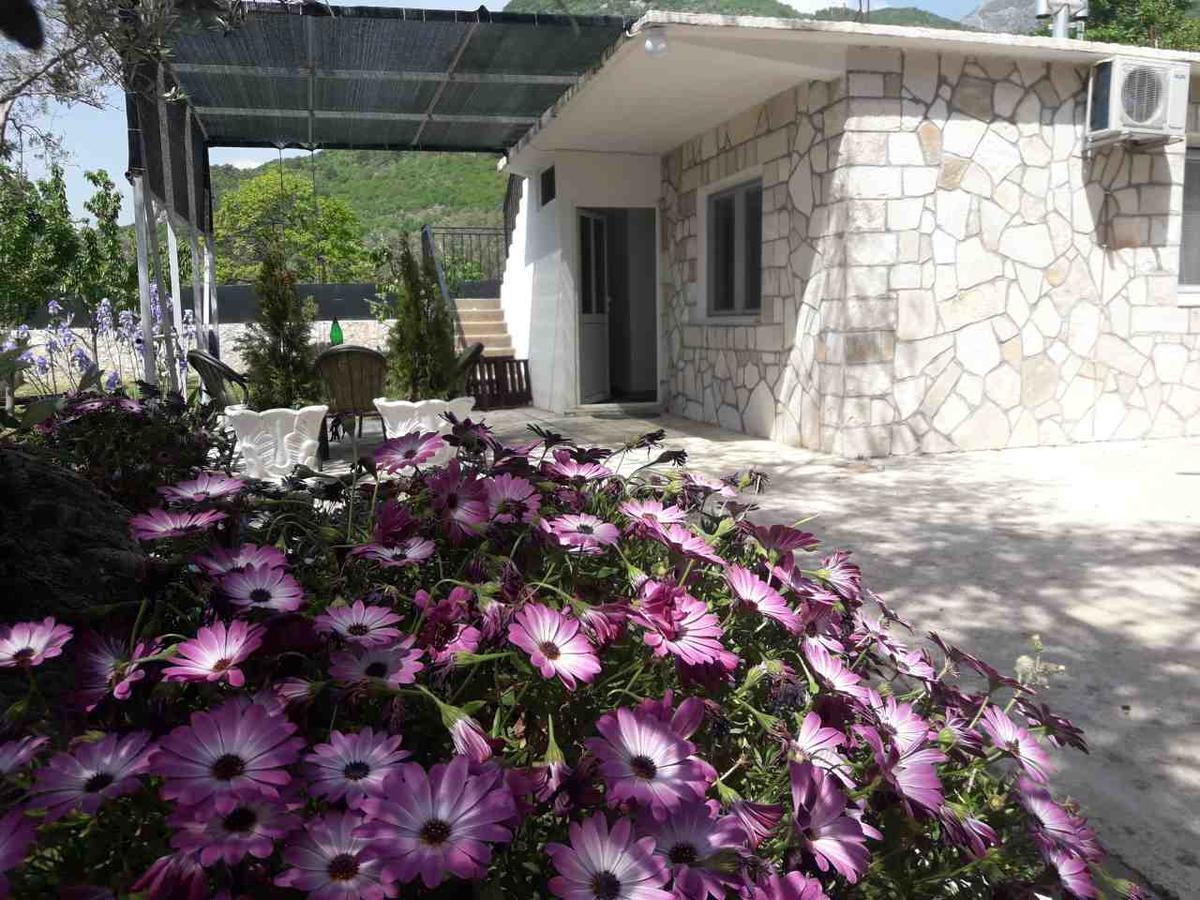 Apartman Nikocevic โดบราวอดา ภายนอก รูปภาพ